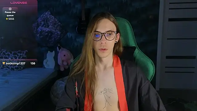 artass2n Webbikameraesitys