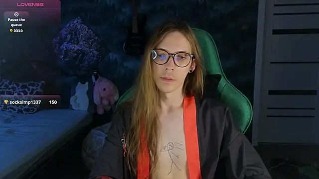 artass2n Webbikameraesitys