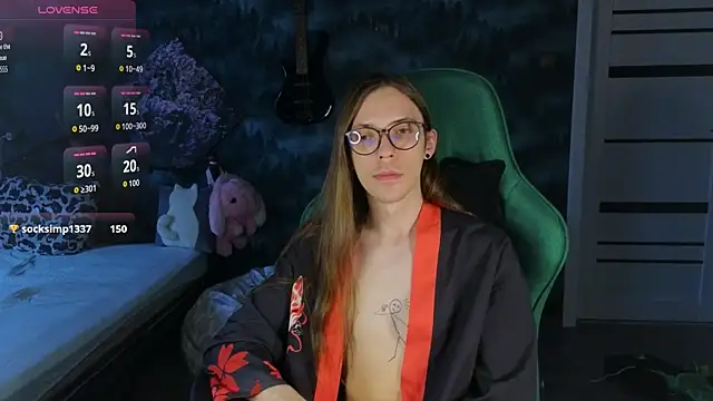 artass2n Webbikameraesitys