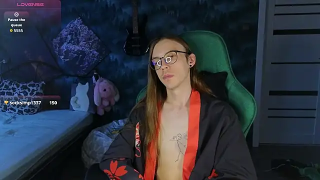 artass2n Webbikameraesitys