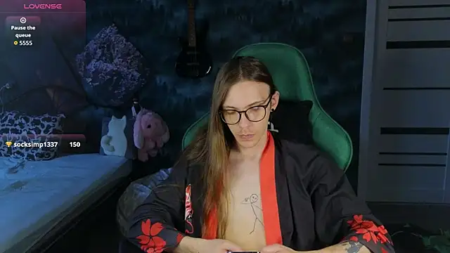 artass2n Webbikameraesitys