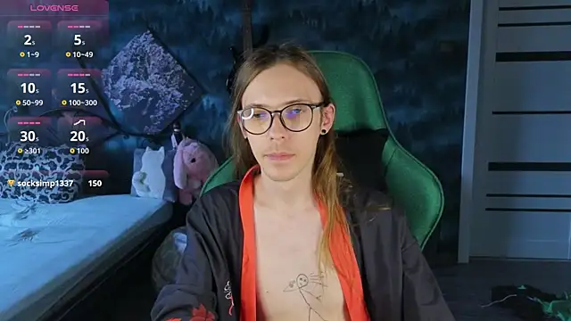 Show Webcam de artass2