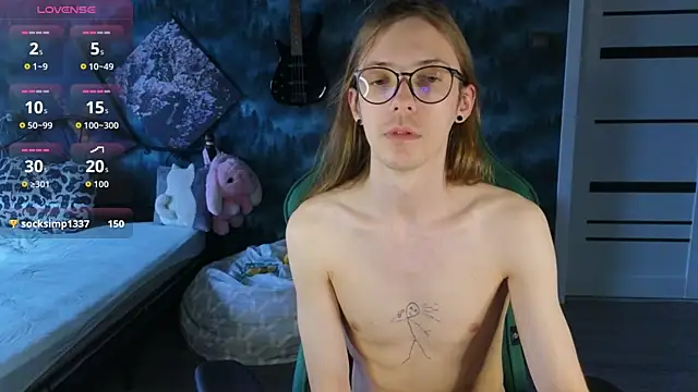 artass2n Webbikameraesitys
