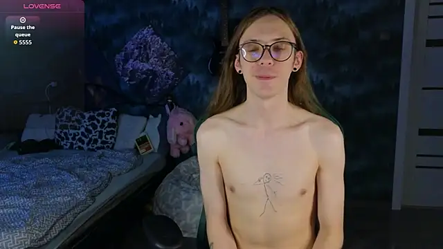 Show webcam de artass2
