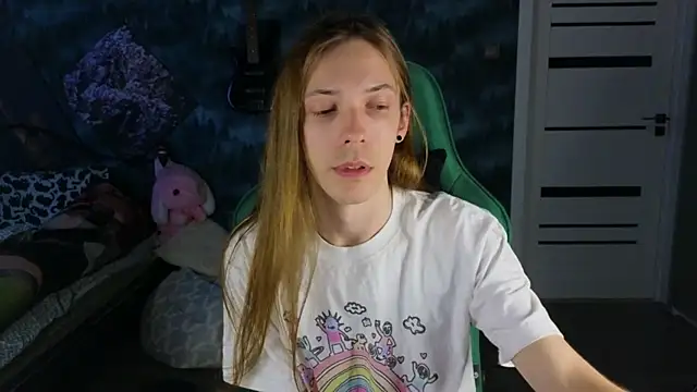 artass2n Webbikameraesitys