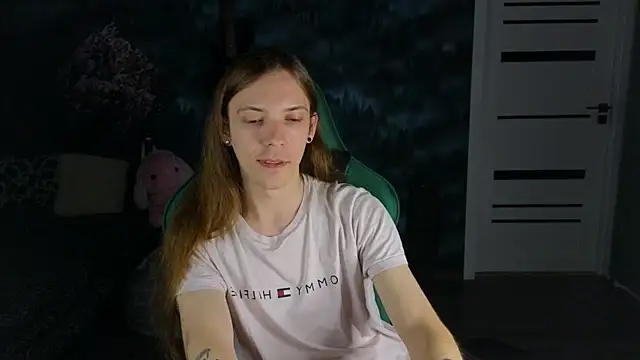 Show webcam de artass2