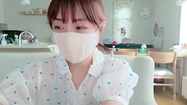 SUZU_1201n Webbikameraesitys