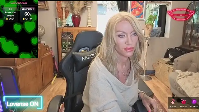 shytrans_ukn Webbikameraesitys