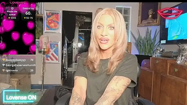 shytrans_ukn Webbikameraesitys