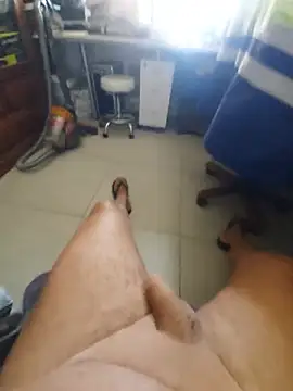 Show Webcam de hpp66