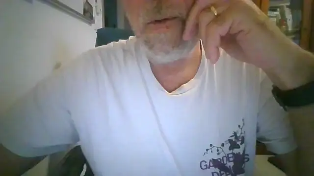 Show webcam de hpp66