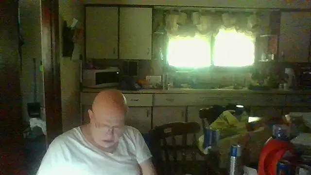 mapsterdaman webcam show