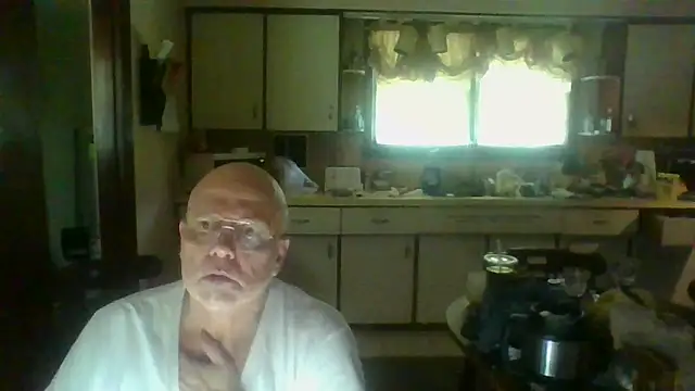 Show webcam de mapsterdaman