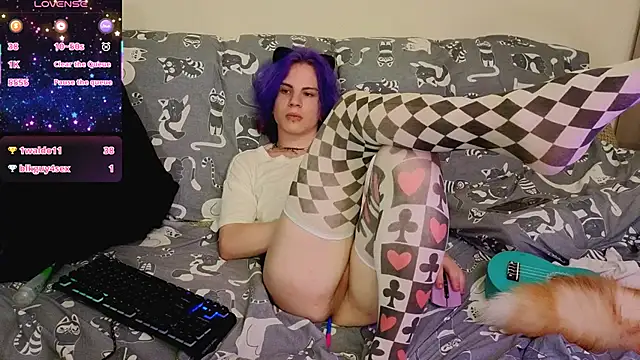 Show webcam de SparkyFerret
