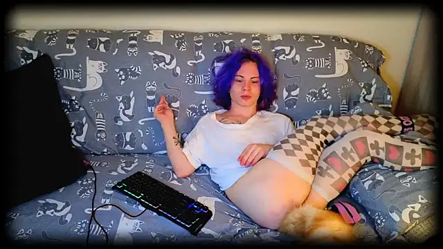 SparkyFerret webkamerás műsora