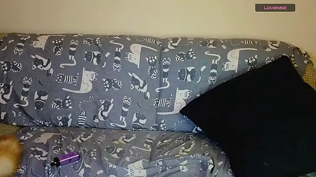 Show Webcam de SparkyFerret