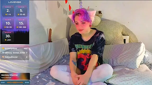 SparkyFerret Show Webcam