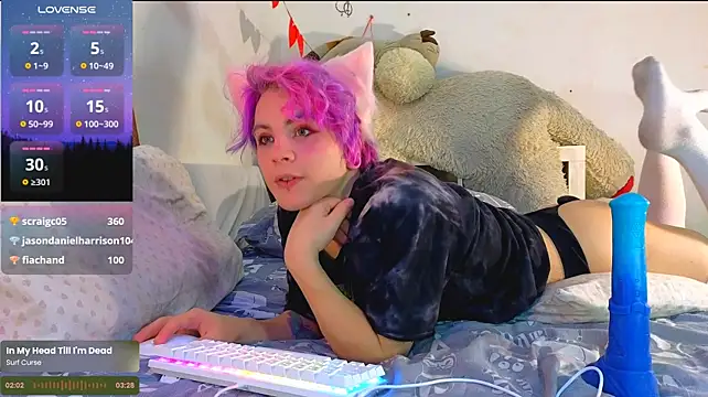Show modela SparkyFerret na web-kameri