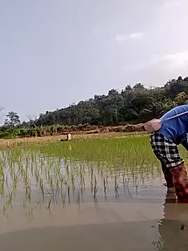 Tin_tanny Show in webcam