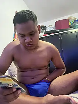 Danimilesn Webbikameraesitys