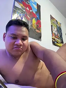 Show Webcam de Danimiles