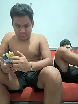 Danimilesn Webbikameraesitys