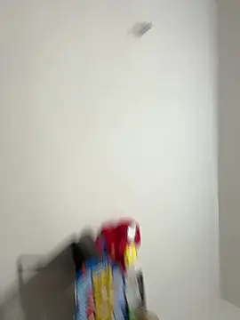 Danimilesn Webbikameraesitys