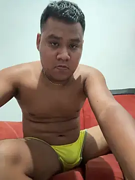 Show webcam de Danimiles