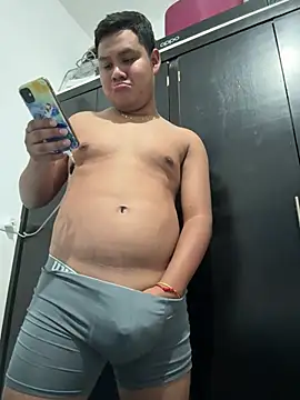 Show webcam de Danimiles