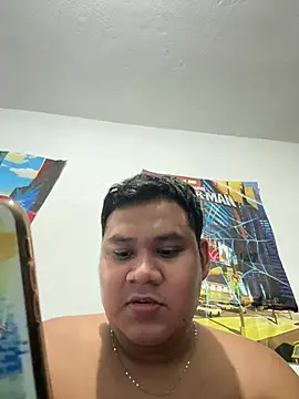 Danimilesn Webbikameraesitys
