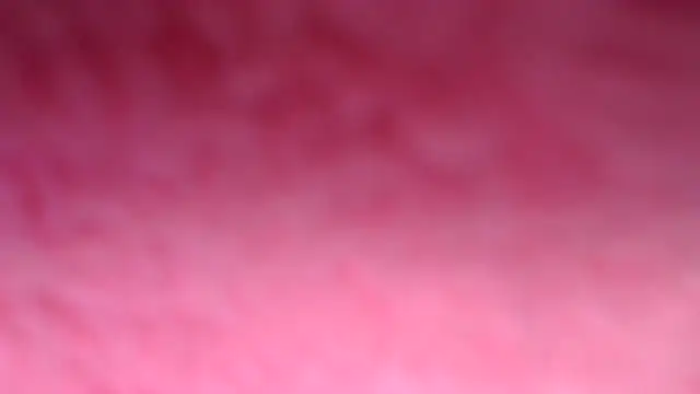 Taylormegan 即時聊天室