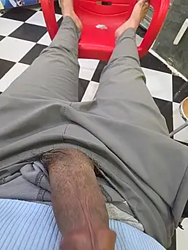Show webcam de anis3g4