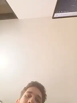 Dante_dmn Webbikameraesitys