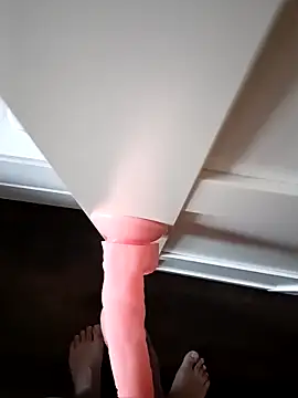 Pertunjukan Kamera Web NiceBadgera