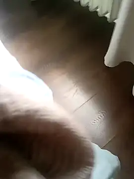 NiceBadgeran Webbikameraesitys