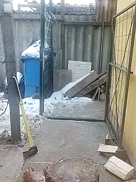 MiriandZacki – webcam-show