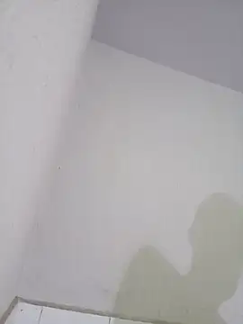 dantevelez Show Webcam