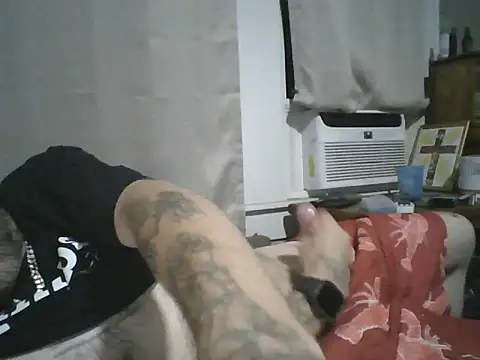 Show Webcam de Gain2in1