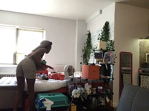 littyleesh1's Webcam Show