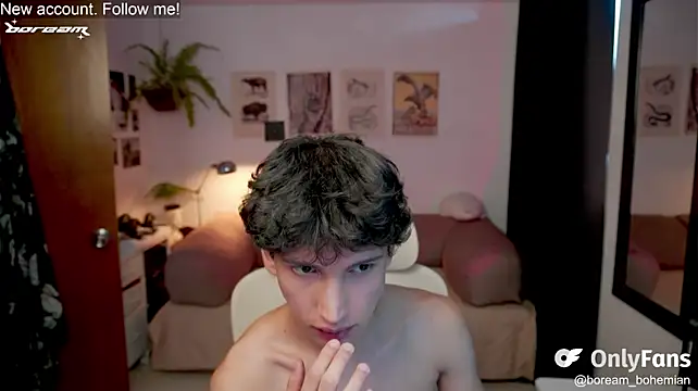 Show webcam de boream