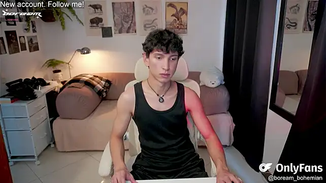 boreamn Webbikameraesitys