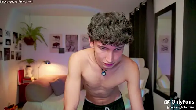 Show webcam de boream