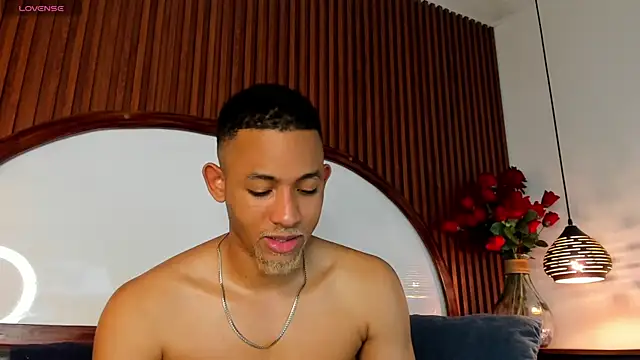 عرض كام B_Wild