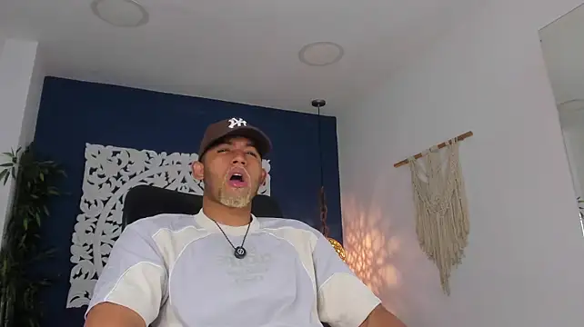 B_Wild Show Webcam