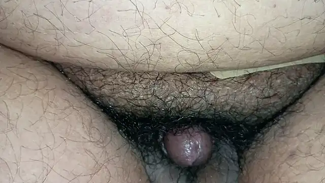 Show de Micro-Br na webcam