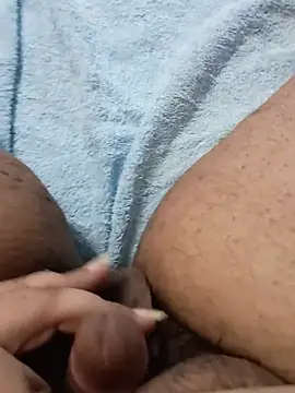 Micro-Br Webcam Show