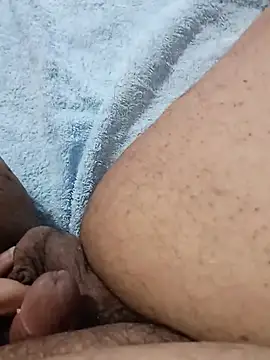 Micro-Brのウェブカメラショー