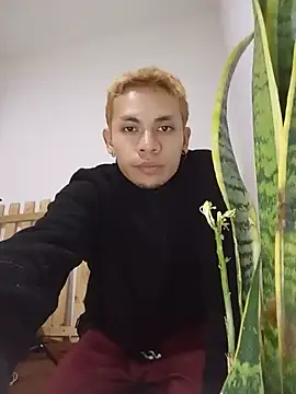 NekoboiPetiolen Webbikameraesitys