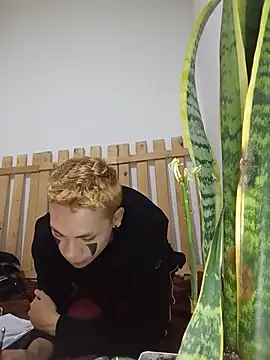 عرض كام NekoboiPetiole
