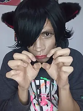 عرض كام NekoboiPetiole